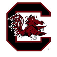 UNIVERSITY OF SOUTH CAROLINA